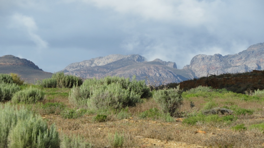 Commercial Property for Sale in Montagu Rural Western Cape